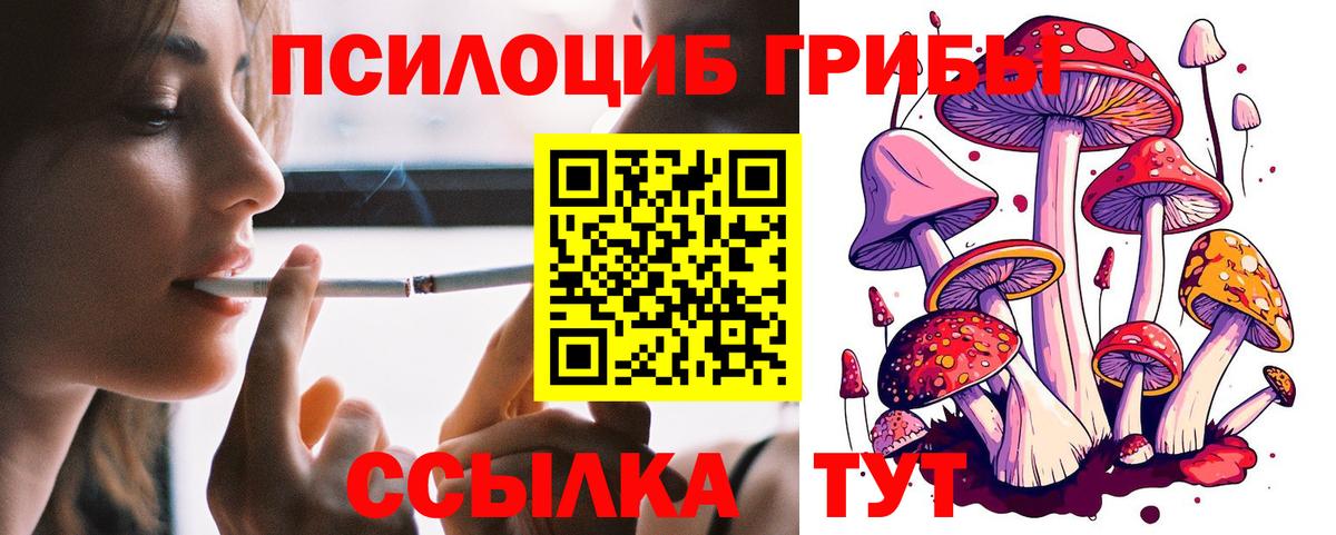 Псилоцибиновые грибы Cubensis  Галлюциногенные грибы Psilocybine cubensis  Вход с VPN  Краснознаменск 