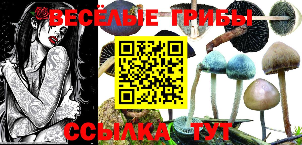 ГАШИШ  ГАШ  Cocaine  Вейп ТГК  ЭКСТАЗИ  MDMA  Краснознаменск  Мефедрон   Вход с VPN  Канабис 